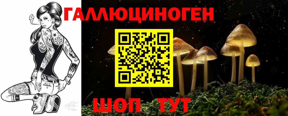 Азнакаево  Псилоцибиновые грибы Psilocybine cubensis  Вход с VPN 